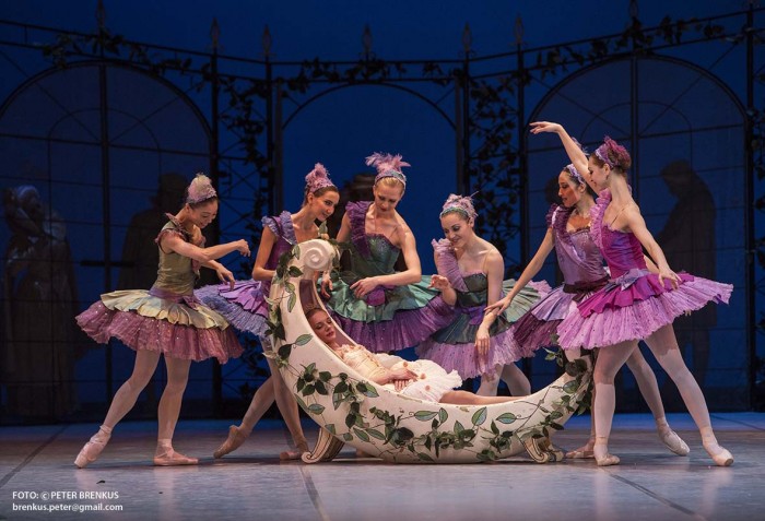 Spici krasavice_Romina Kolodziej_Foto-Brenkus Peter