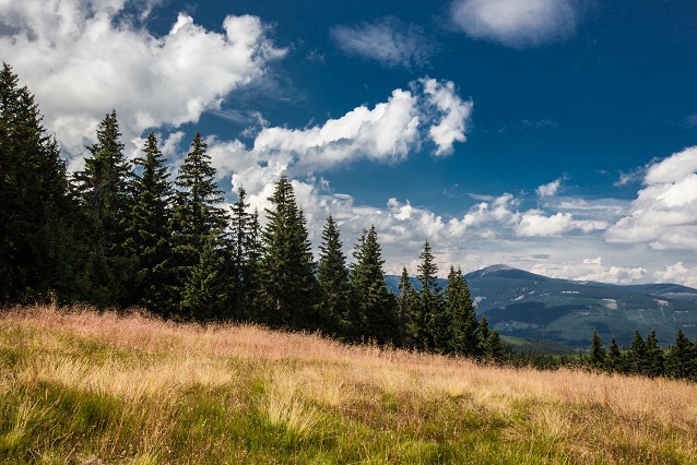 Letni_krajina_nahled