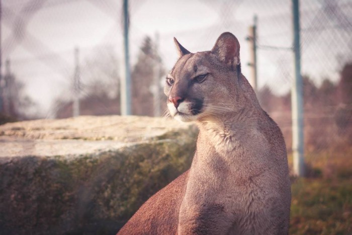 10437766_979135698820936_2903020337506240594_n