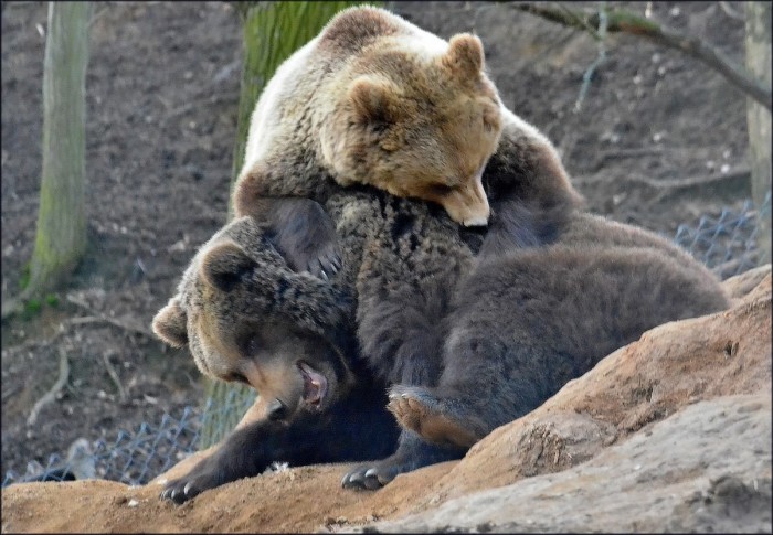 12823487_975200755881097_1326489264626571883_o