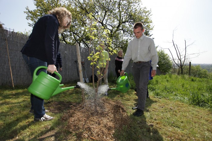 Sázení Wintonovy moruše 2016 (1)