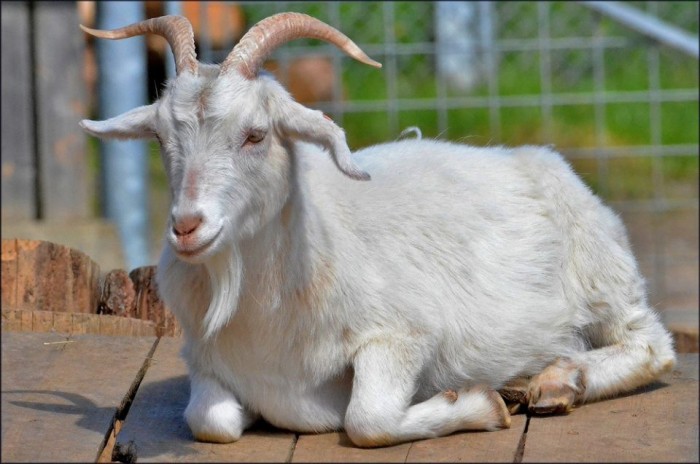 13612133_1053668144701024_3373352964781766286_n