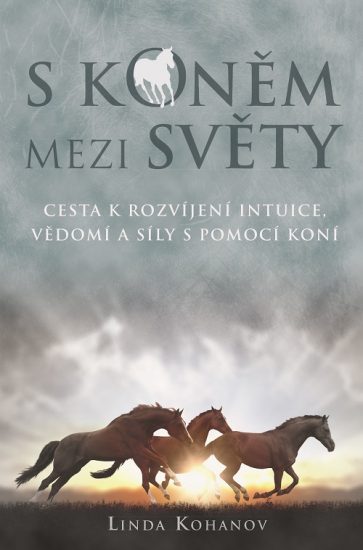 1600211-S konem mezi svety_obalka-BC.indd