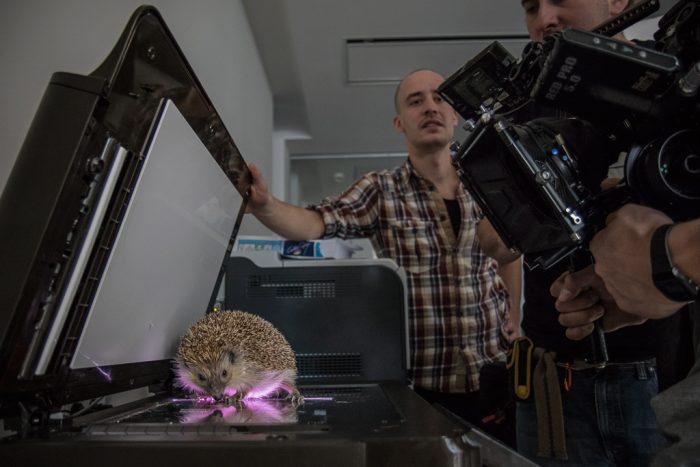 foto_david_konecny_7