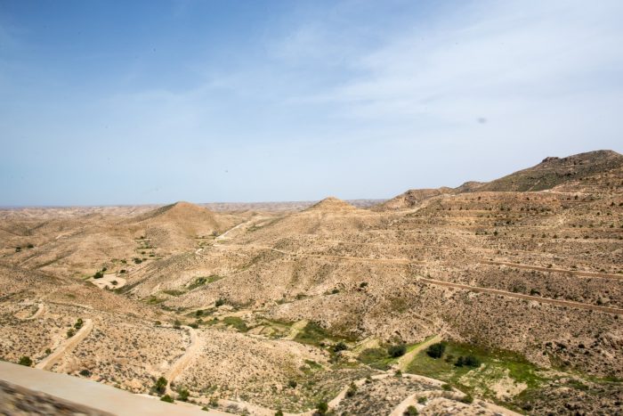 Eva Perkausova 3 (1)