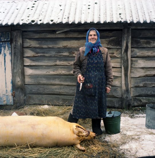 Hanna Zavorotnya (78 y.o), helped to scrub and gut a pig that was butchered by her visiting son for the New Year holidays. Kapavati village, Chernobyl, Ukraine. December 2010