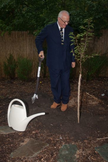 Koreny-osobnosti-Botanicka-zahrada-Manolo-Blahnik-malá