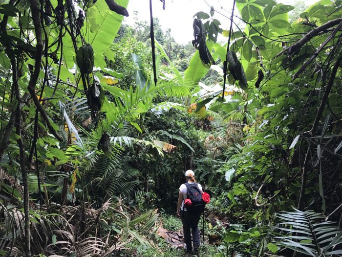 Monika jeτt╪ s nehtem