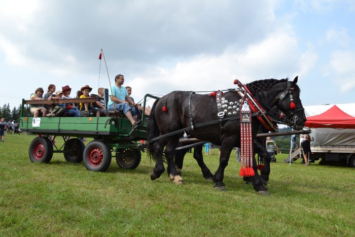 Moštování jablek, střelba z posedu, tahání klád koňmi i chytání pstruhů - Den venkova ukáže život na žďárském panství III.