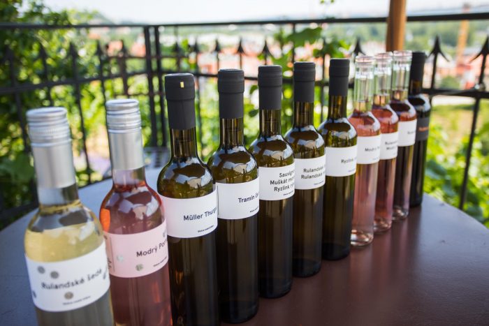 Vina z vinice sv Klary 2017 (5)