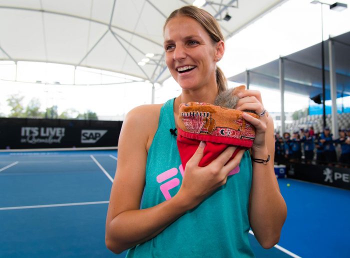 1fa1e038-e881-4ca2-9a62-e3c81e92c457