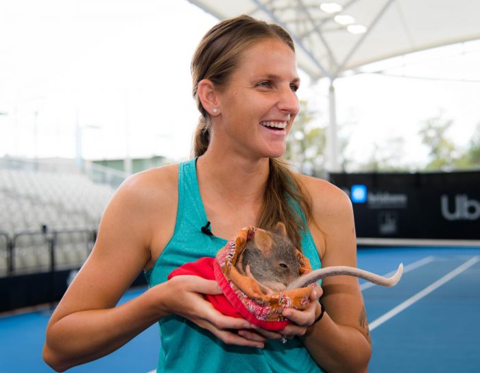 fc0f3915-80d2-4150-9869-ae7c3d84648c