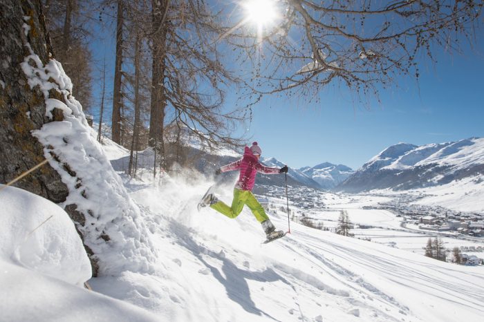 Snowshoes_Copy Roby Trab (22)