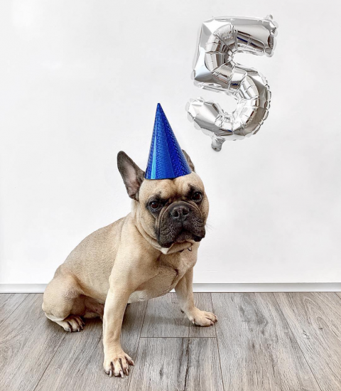 Snímek obrazovky 2019-05-04 v 9.05.54