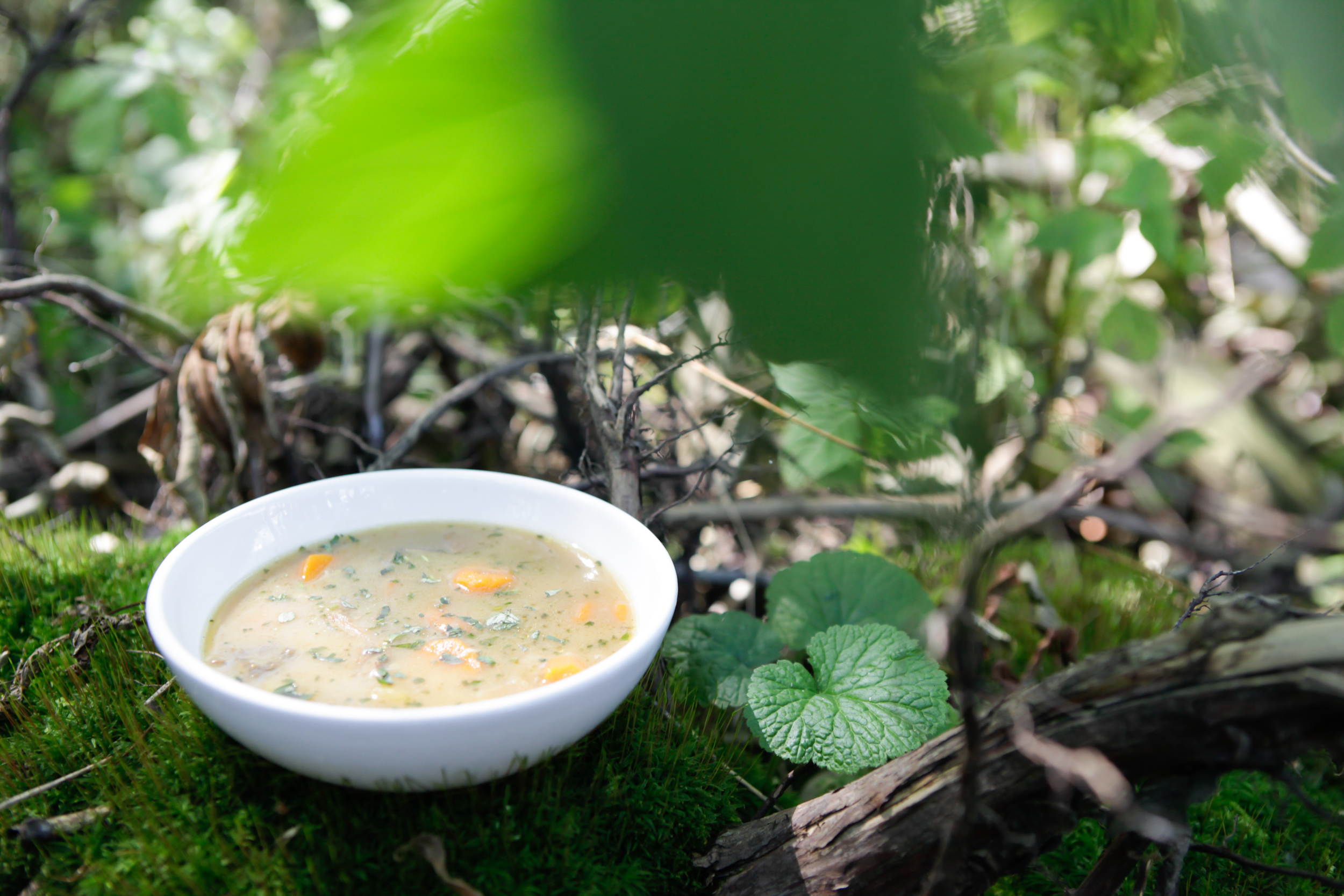 Když táta vaří – Houbařská sezona vrcholí