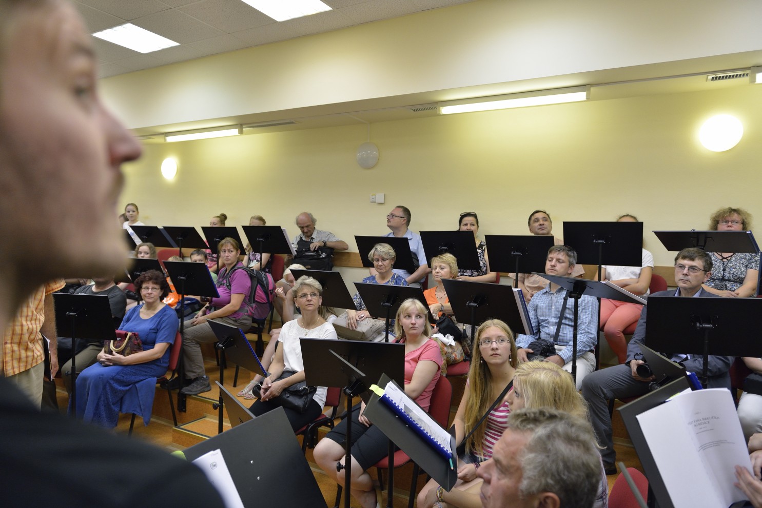 Rok české hudby pro děti