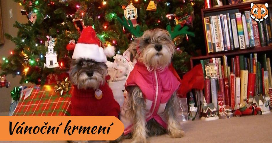 Přijďte na Vánoční krmení zvířat