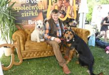 Václav Vydra vyrazil se čtyřnohými kamarády na Psí den s Prahou 13