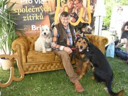 Václav Vydra vyrazil se čtyřnohými kamarády na Psí den s Prahou 13